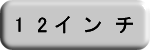 12インチ